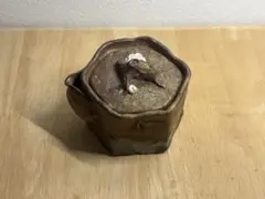 メルカリ