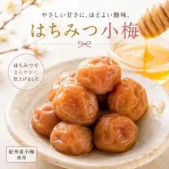 やさしい甘さが大人気！ 紀州南高梅 梅干し はちみつ梅 小梅 送料無料 超小粒