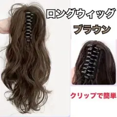 エクステ カール ロング 簡単 ウィッグ ブラウン 可愛い ヘアクリップ
