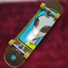 Item thumbnail for item 077422bf-e3c5-4fa1-a359-744e5dbf047c