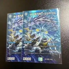 シャコガイル　MAX