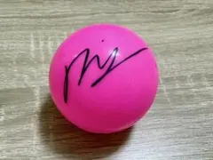 Item thumbnail for item 04fd4dc1-6f46-455e-b16b-4bd82f4df6ed