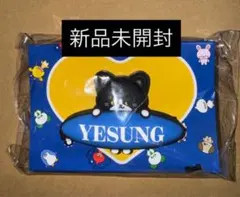SUPERJUNIOR ペンライト ファンライトアクセサリー 未開封 ヒチョル
