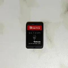 SWITCH 　Skyrim　スカイリム　ソフトのみ　国内版