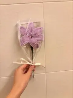 Item thumbnail for item 828afa95-3916-4580-9667-c3c8f7cf1caa