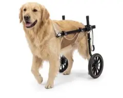 犬用車椅子 歩行器アドワークス製 犬用車椅子 歩行器アドワークス製 - メルカリ
