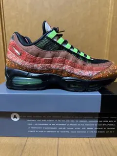 NIKE AIR MAX 95 Hong Kong 28cm