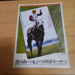 JRAヒーロー列伝　ハイセイコー　クリアファイル