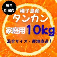 【✨濃厚✨】種子島産タンカン10kg 家庭用・箱満杯！産地直送
