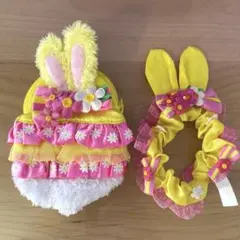 【美品】ディズニーランド　ディズニーイースター　ポーチ•シュシュセット