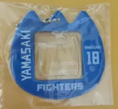 山﨑福也 おなまえキーホルダー