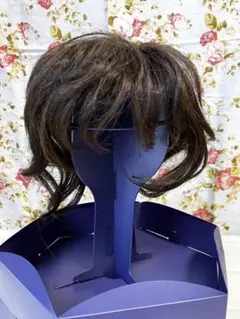 Item thumbnail for item 2267bd25-07dd-425b-821e-c0180ebcc103