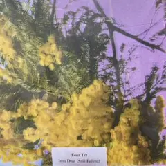 ⭐︎新品未使用⭐︎FOUR Tet Into Dust（Still Falling） Four Tet - Into Dust (Still Falling) (12