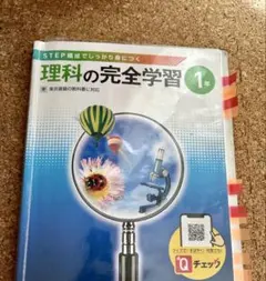 Item thumbnail for item 8429a1e2-b967-4873-85da-fa4f3c695795