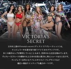 【Victoria's Secret】 ショーツ ランジェリー パープル 下着のサムネイル