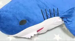 Item thumbnail for item 1751908d-2345-4516-85e2-37c565b66968