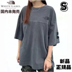 韓国 ノースフェイス　ダメージ Tシャツ　グレー　S 新品　ウォッシュ加工　M