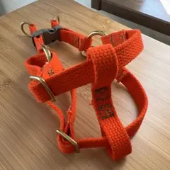 Item thumbnail for item 7830ed53-fae0-4105-a377-545d5b34321f