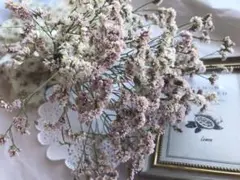 はる様専用　381 ドライフラワー　ハイブリッドスターチス　ピンク　1束