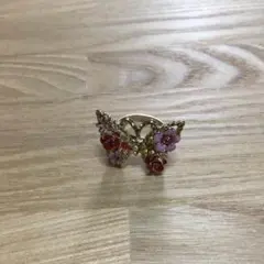 ANNA SUI 애너스위링
