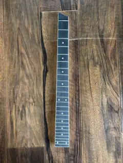 Item thumbnail for item 58dea634-3519-4f8a-bf9f-03f4d92903e4