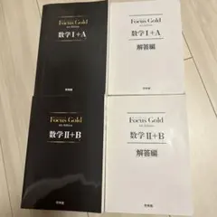 【お値下げ中‼️】FocusGold 数学1+A 2+B