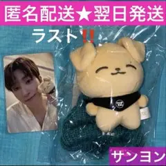 2025年最新】the boyz キュー ぬいぐるみの人気アイテム - メルカリ