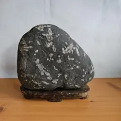 石手川石 野焼き山 水石 鑑賞石 - メルカリ