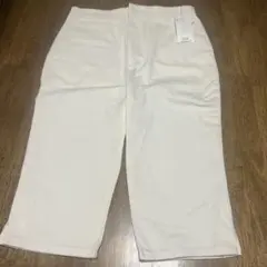 Item thumbnail for item 0353ee28-5156-48d4-9de1-338917110e7f