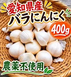 【令和8年採れたて】農薬不使用 家庭菜園のにんにく [バラ400g　おまけ付き]のサムネイル