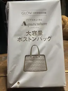 GＬＯＷ3月号特別付録 Aquascutum 大容量ボストンバッグ
