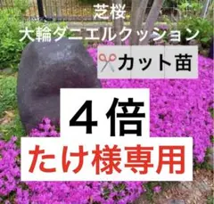 たけ様 リクエスト 3点 まとめ商品