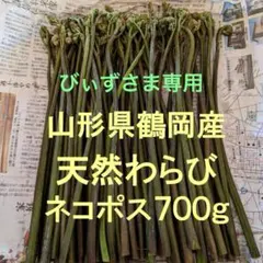 びぃずさま専用 朝採り わらび 700gネコポス発送 山形県鶴岡産⑤のサムネイル