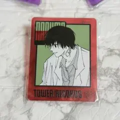 南雲2種セット アクリルバッジコレクション タワーレコードカフェ