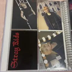 Stray Kids アイエン domin ATE ラントレ まとめ売り