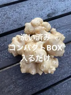 菊芋　きくいも　スーパーフード　農薬不使用　化学肥料不使用　自然栽培