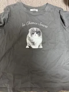 Item thumbnail for item fd1ef1c3-7383-4d60-9333-dc632e188004