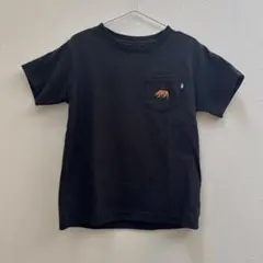 THE NORTH FACE ショートスリーブポケットT 120のサムネイル