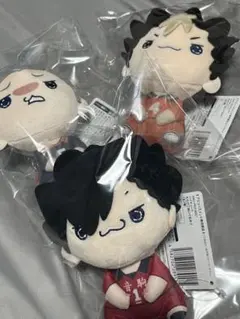 ハイキュー　もちぴこ　ぬいぐるみ　黒尾鉄朗　西谷夕　田中龍之介
