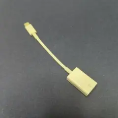 Apple 純正 USB-C - USBアダプタ A1632