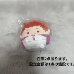 E賞 天童覚 天童 ハイキュー てのりんず くじメイト ぬいくじ 2
