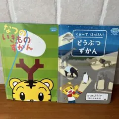 natsuchan08様 リクエスト 2点 まとめ商品