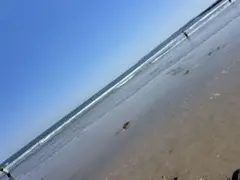 MJ様