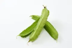 Kuma様 リクエスト 2点 まとめ商品