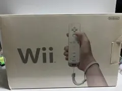 Nintendo Wii 本体 付属品一式　ソフト付き