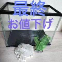 중형 유리 수조+인공 수생 식물 및 바닥 모래