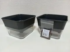 【すぐ始められる】リッチェル スプラウト 栽培容器 2個セット 種付きのサムネイル