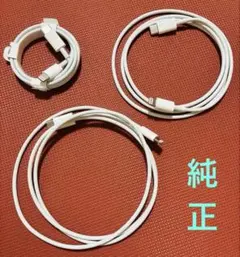 Apple純正　充電ケーブル3本セット ライトニング　タイプC
