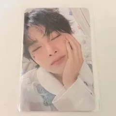 stray kids 韓国 ペンミ コレクトケース トレカ アイエン