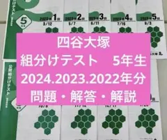 2026年最新】四谷大塚 組分けテスト 5年 2024の人気アイテム - メルカリ